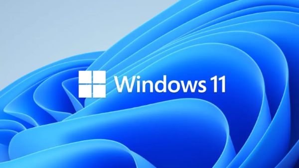 Совместимость с Windows 11